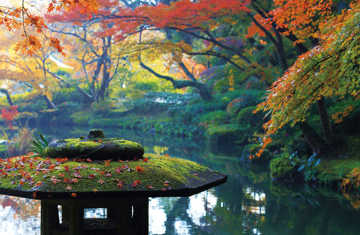 成田山公園紅葉まつり いんざいネット