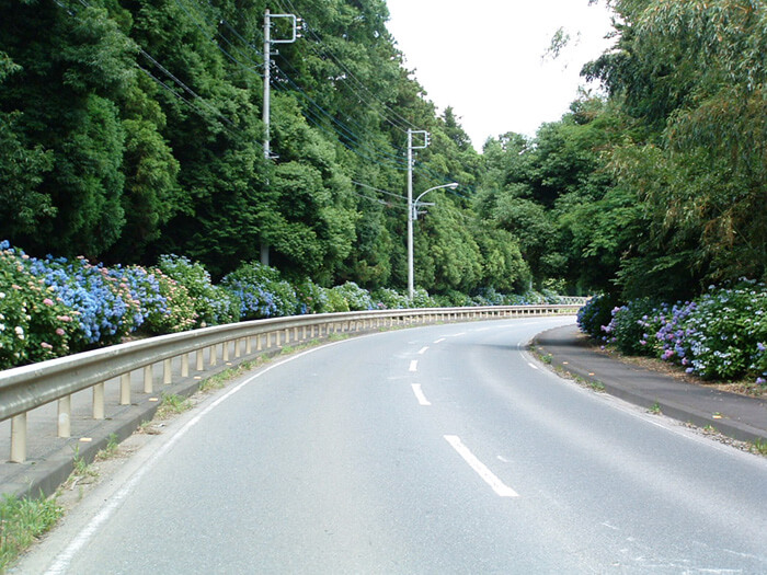 あじさい散歩道
