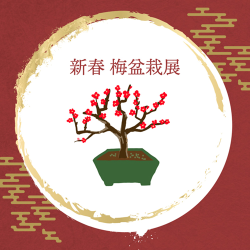 新春梅盆栽展